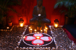 WA LAM HOLISTIC HEALTH INSTITUTE