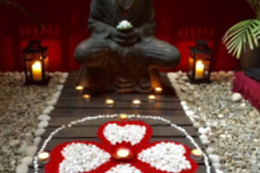 WA LAM HOLISTIC HEALTH INSTITUTE