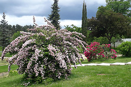 Bienvenue en Perigord