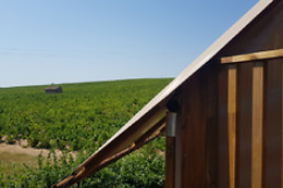 La Grappe Fleurie