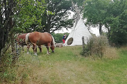 Les Calèches de l'isop