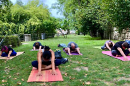 Cozy Yoga Porto