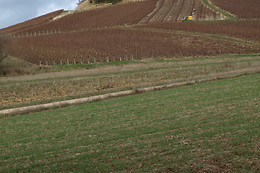 Champagne Perron-Beauvineau