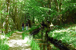 La rivière d'argent
