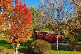 Au Coeur du Bois