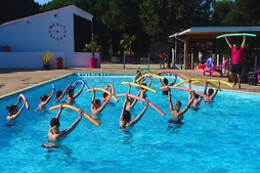 Camping les Flamants Roses