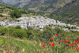 CAMPING TREVELEZ