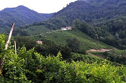 B&B Casa di Campagna