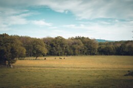 Gîte Coeur de Nature