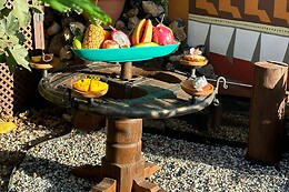 AFRIKAN KRISANT TENERIFE
