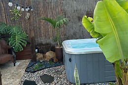 AFRIKAN KRISANT TENERIFE