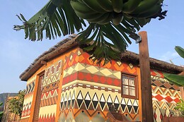 AFRIKAN KRISANT TENERIFE