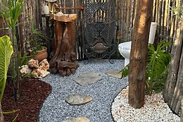 AFRIKAN KRISANT TENERIFE