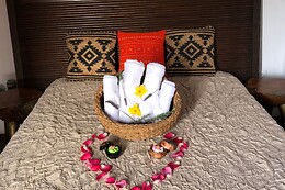 AFRIKAN KRISANT TENERIFE