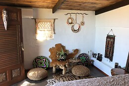 AFRIKAN KRISANT TENERIFE