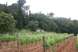 BODEGAS PAGO DE LARRAINZAR
