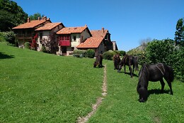 ALOJAMIENTO RURAL LA MONTAÑA MAGICA