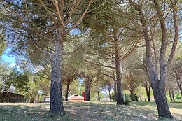 Seasonova camping Ensoya