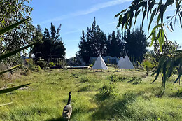 GLOBAL TRIBE BIODYNAMIC ECOVILLAGE