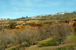 Agriturismo Al Brich