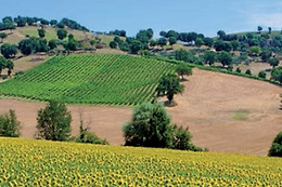 Hotel Clarici