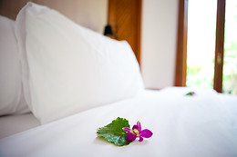 HOTEL DELPHOS