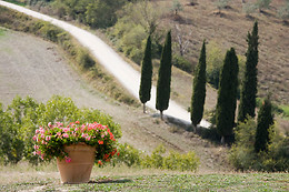 CASA RURAL TERESA