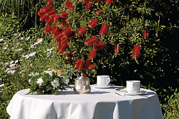 Hotel Villa Capodimonte