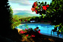 Agriturismo La Ginestrella