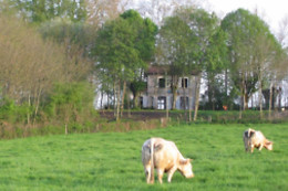 Les Roulottes de la Gare