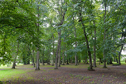 Domaine de Bel Air