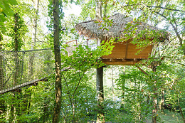 Domaine des Vaulx