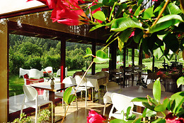 HOTEL EL CASTAÑO DORMILÓN