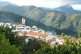 APARTAMENTOS RURALES JARDINES DEL VISIR