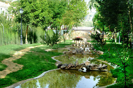 HOTEL HUERTA DE LAS PALOMAS