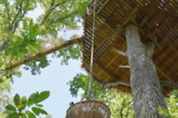 Domaine des Vaulx