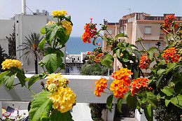 Hotel Alceste