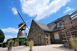 DOMAINE DU MOULIN CAVIER