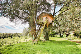 Domaine de la Couture