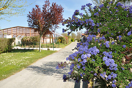 Camping L'Abri-Cotier - Flower Campings
