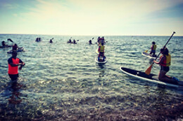 LIBERTY WINGS WATERSPORTS