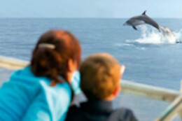 FUENGIROLA SEA TRIPS