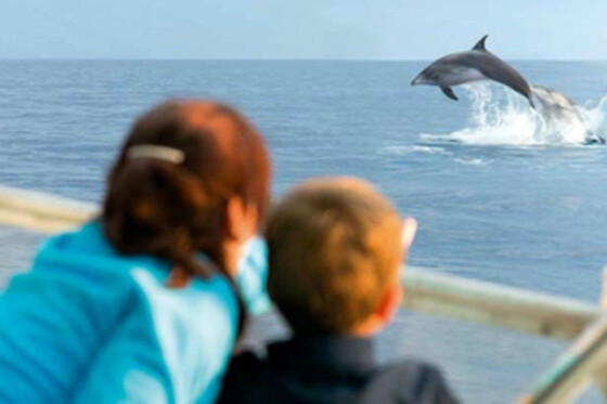 FUENGIROLA SEA TRIPS - photo 20
