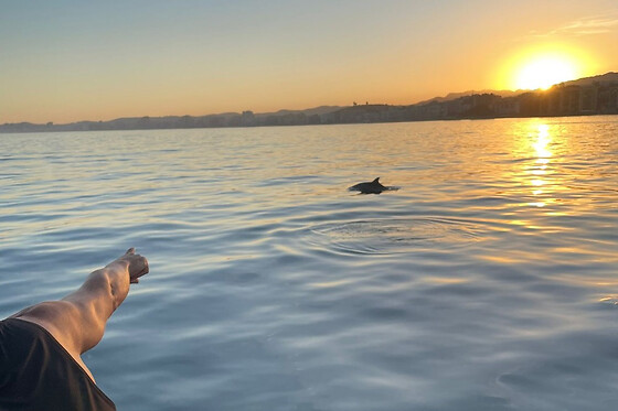 FUENGIROLA SEA TRIPS - photo 22