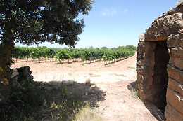 VILOSELL WINE HOTEL