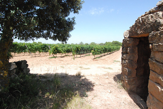 VILOSELL WINE HOTEL - photo 3