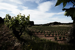 VILOSELL WINE HOTEL