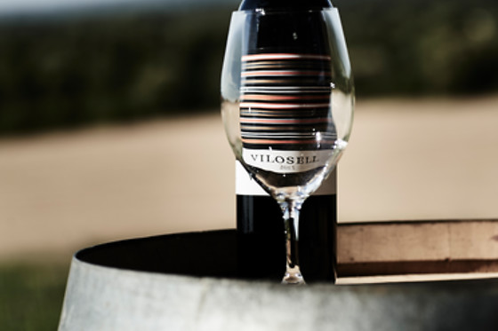 VILOSELL WINE HOTEL - photo 6