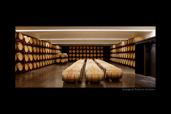 VILOSELL WINE HOTEL - photo 7