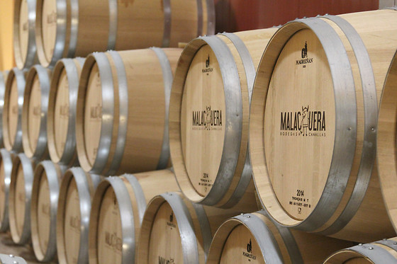 BODEGAS MALACUERA - photo 1
